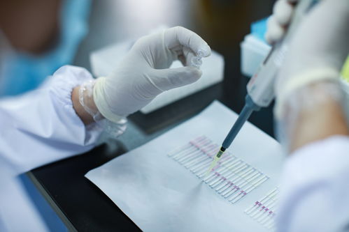 技术创新引领发展 菲鹏生物助力广东打造万亿级生物医药产业