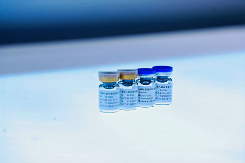 自研技术驱动植源胶原破局 国科方华生物以创新引擎开拓东盟市场
