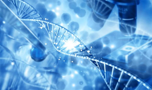 2024年中国十大最具价值合成生物学企业一览