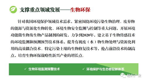 十三五生物技术创新专项规划 秸秆生物能源技术的机遇与挑战