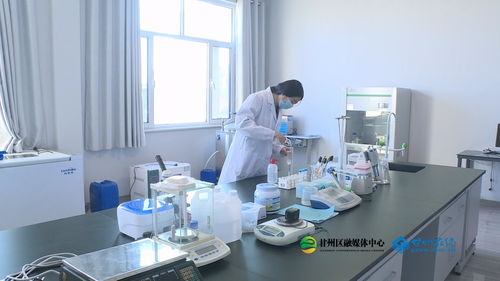 张掖兰标生物 科技赋能生态厕所，创新引领产业发展