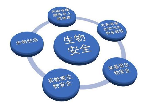 该报告强调,欧盟致力于为生物技术解决方案的发现,开发和制造创造适应